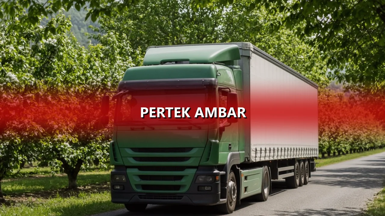 Pertek Ambar